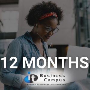 12 Month Career Path